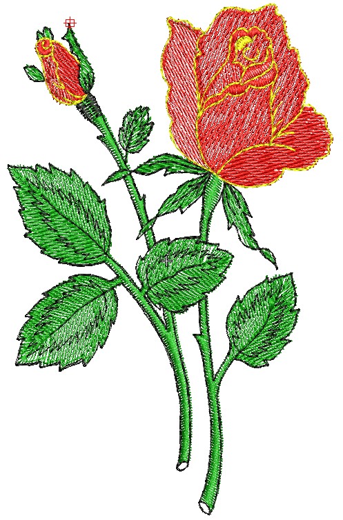 Free Rosa Banho Flower