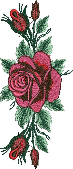 High Quality Rose Flowere (30)