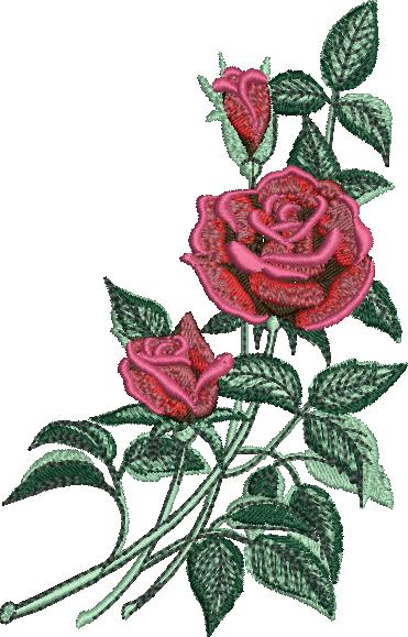 High Quality Rose Flowere (40)